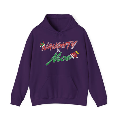 MoonShine Safari Holiday Naughty & Nice Unisex Heavy Blend™ Hooded Sweatshirt